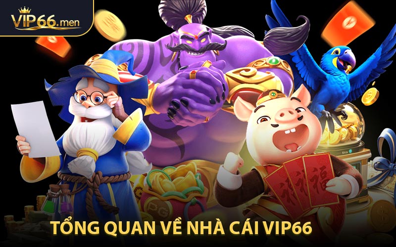 Tổng quan về nhà cái VIP66